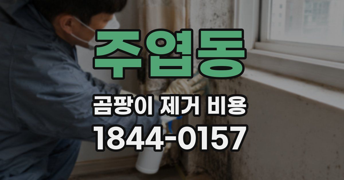 주엽동 곰팡이 제거 비용