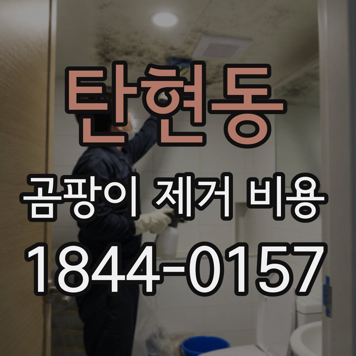 탄현동 곰팡이 제거 비용