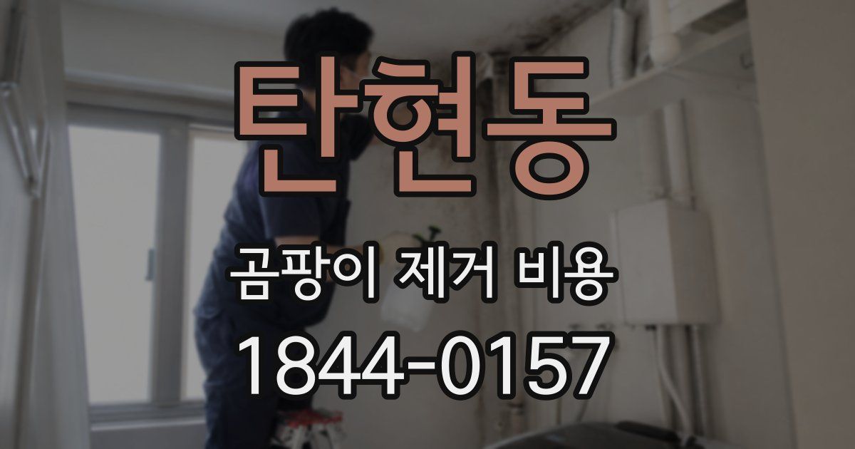탄현동 곰팡이 제거 비용