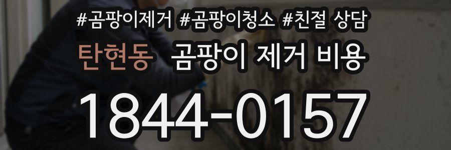 탄현동 곰팡이 제거 비용