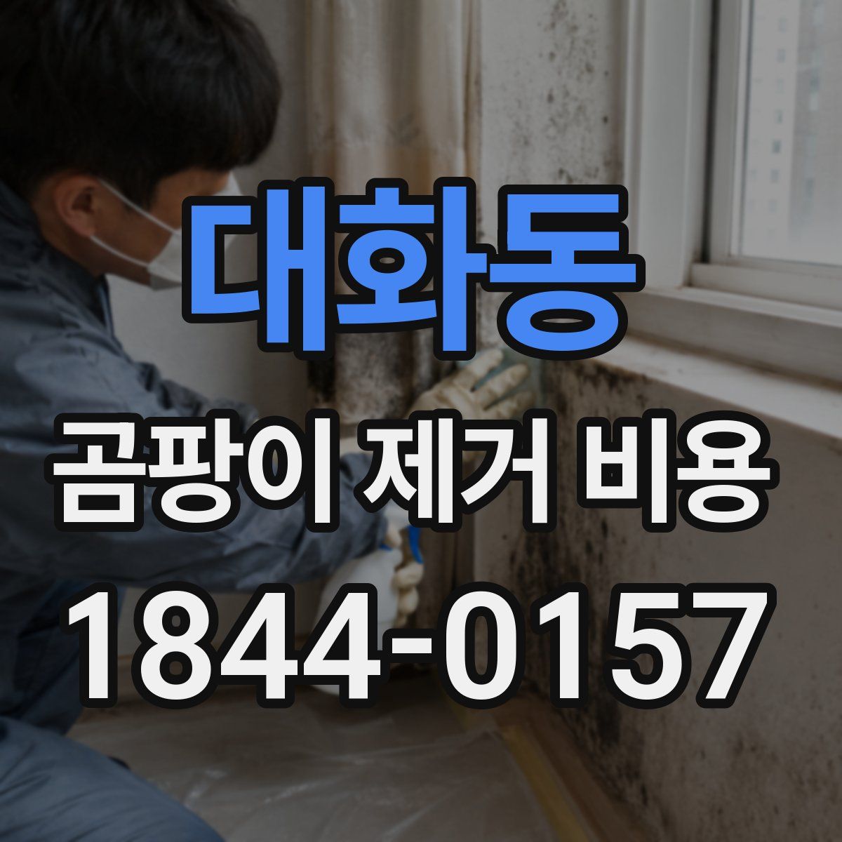 대화동 곰팡이 제거 비용