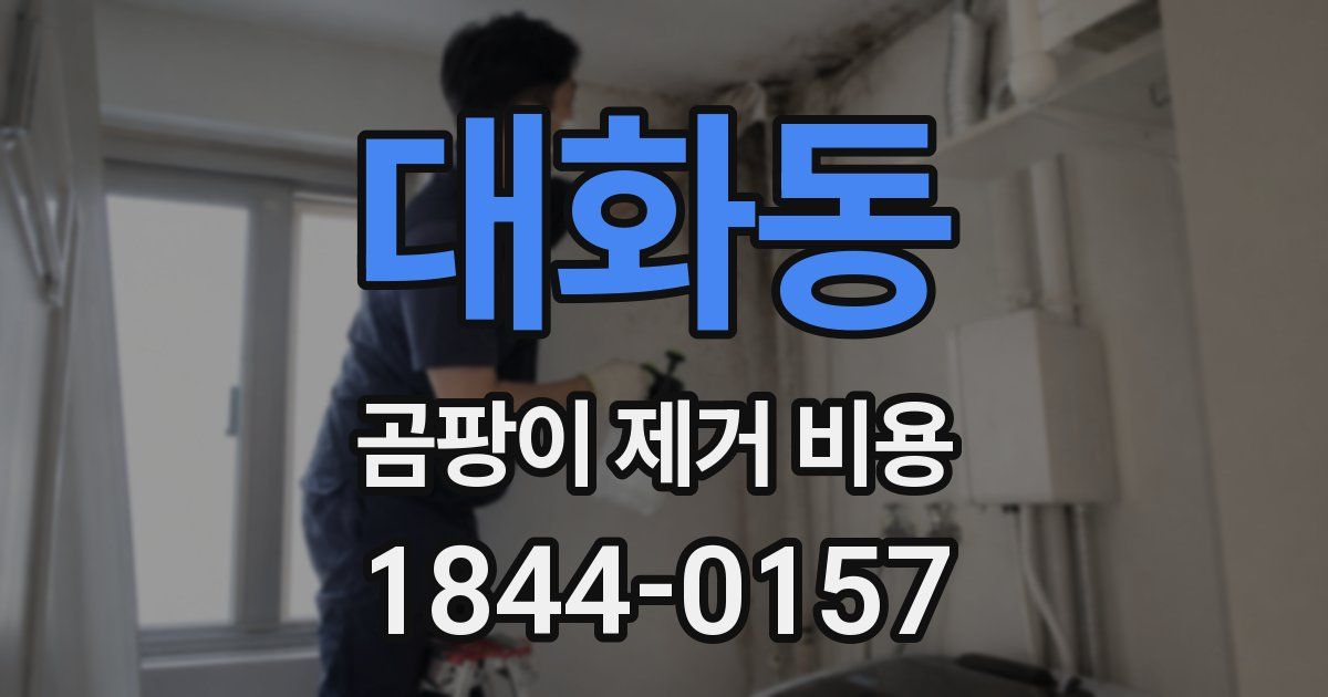 대화동 곰팡이 제거 비용