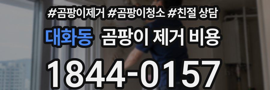 대화동 곰팡이 제거 비용