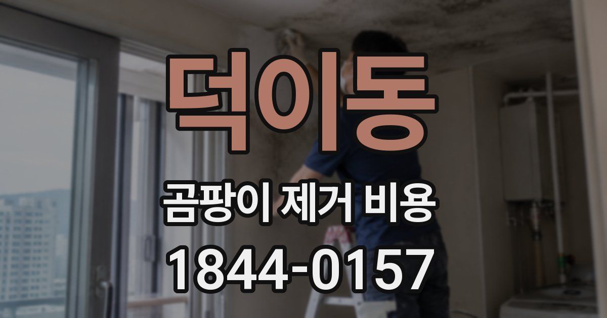 덕이동 곰팡이 제거 비용