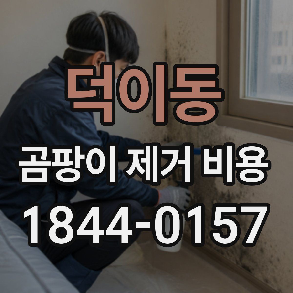 덕이동 곰팡이 제거 비용