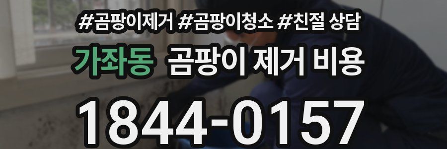 가좌동 곰팡이 제거 비용