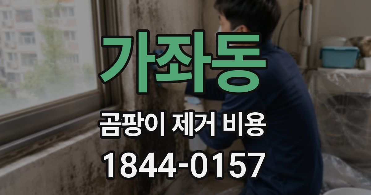 가좌동 곰팡이 제거 비용