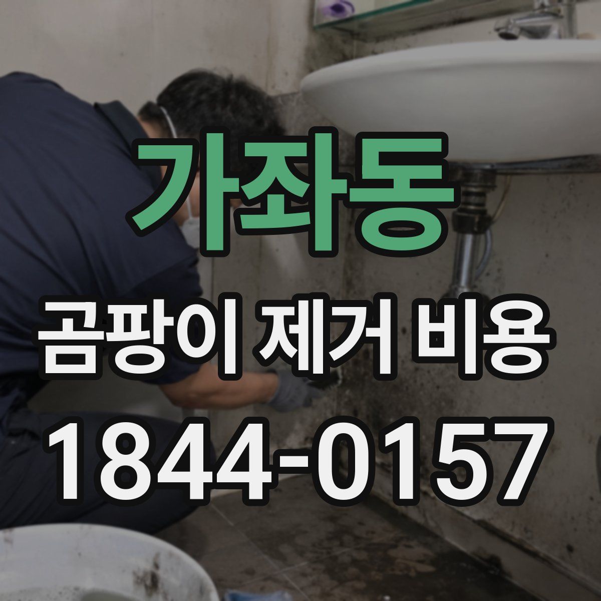 가좌동 곰팡이 제거 비용