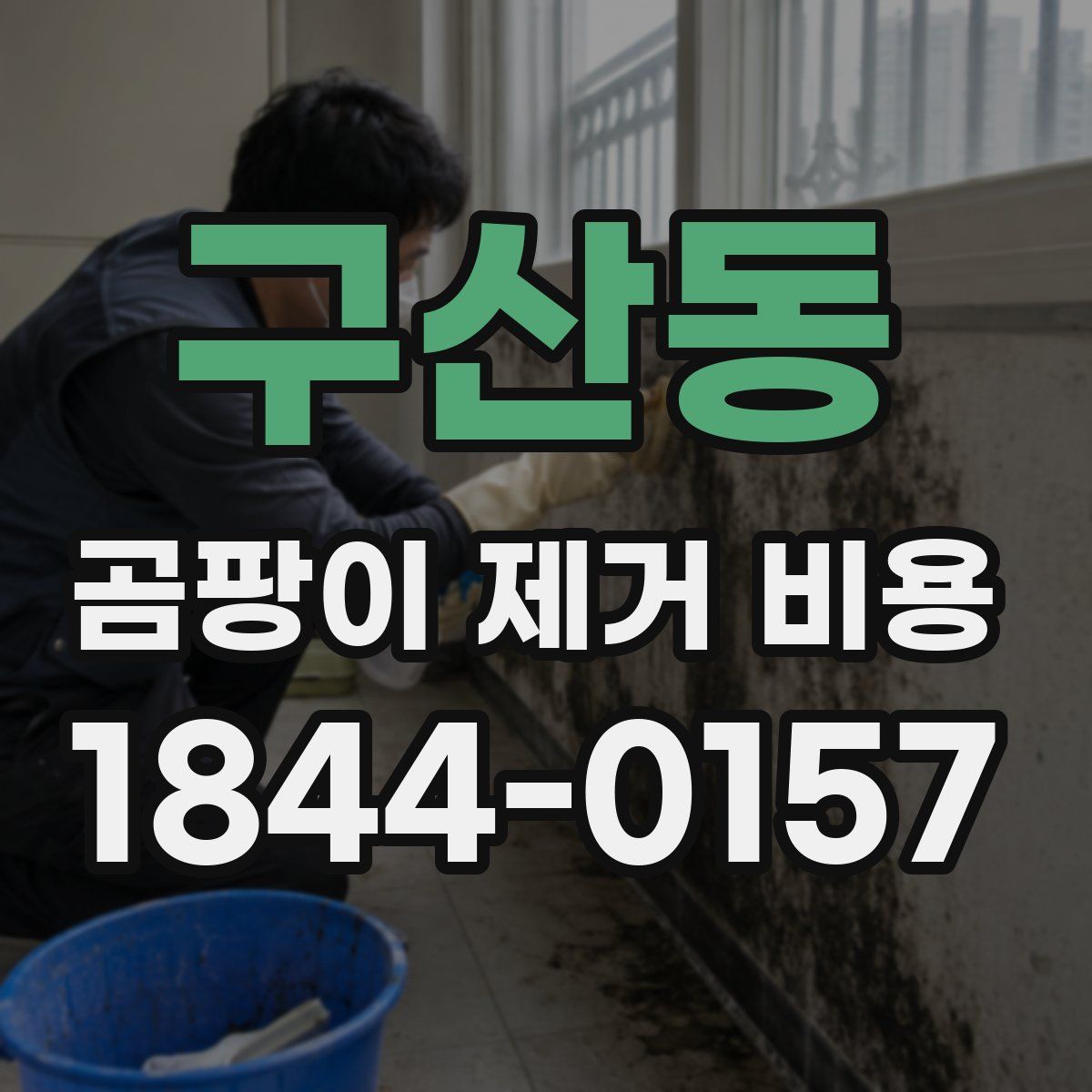구산동 곰팡이 제거 비용