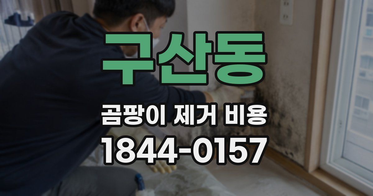 구산동 곰팡이 제거 비용