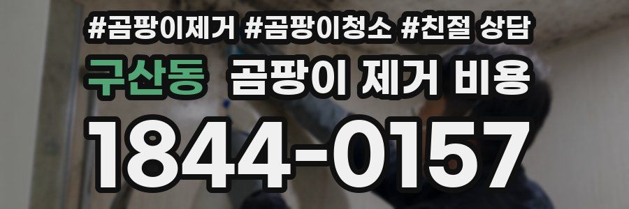 구산동 곰팡이 제거 비용