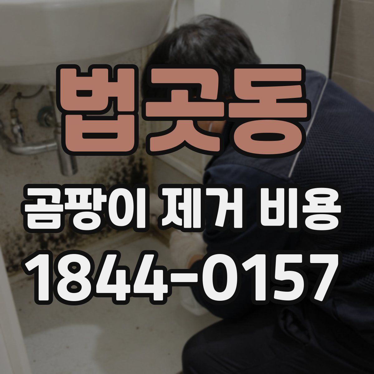 법곳동 곰팡이 제거 비용