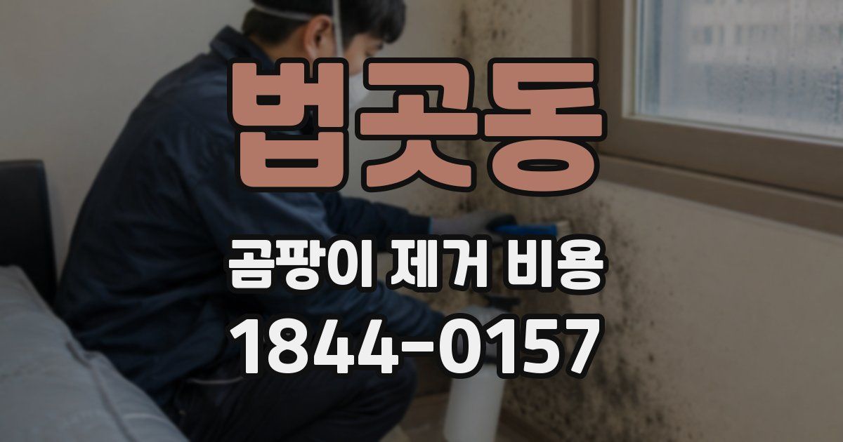 법곳동 곰팡이 제거 비용
