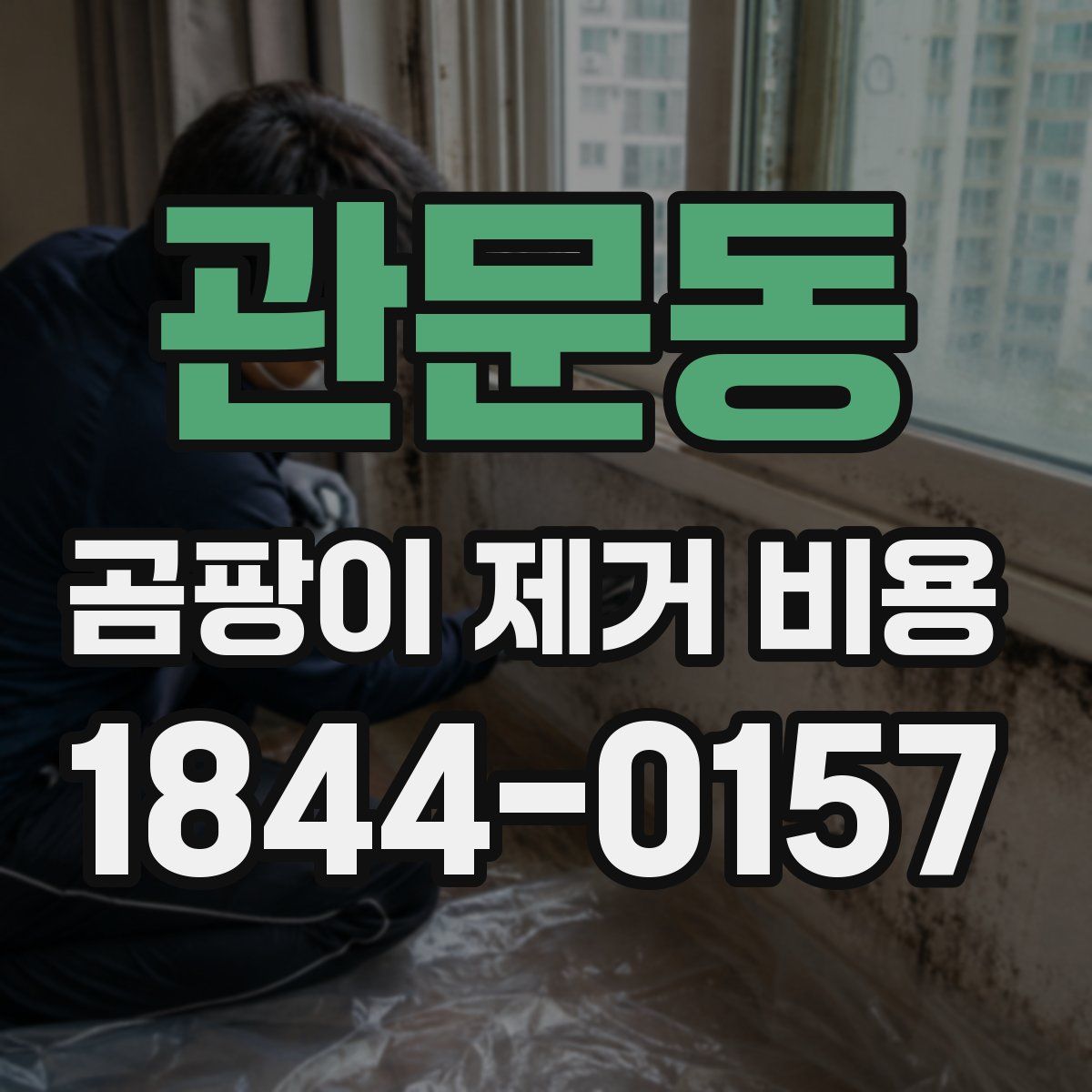관문동 곰팡이 제거 비용