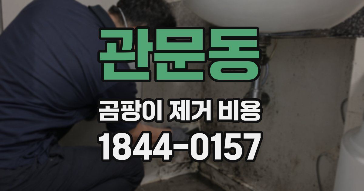 관문동 곰팡이 제거 비용