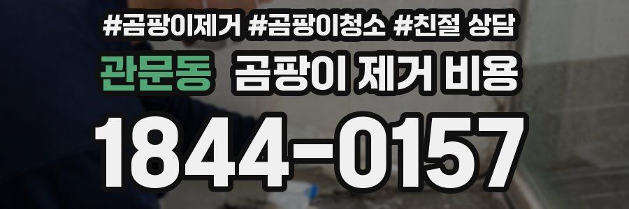 관문동 곰팡이 제거 비용