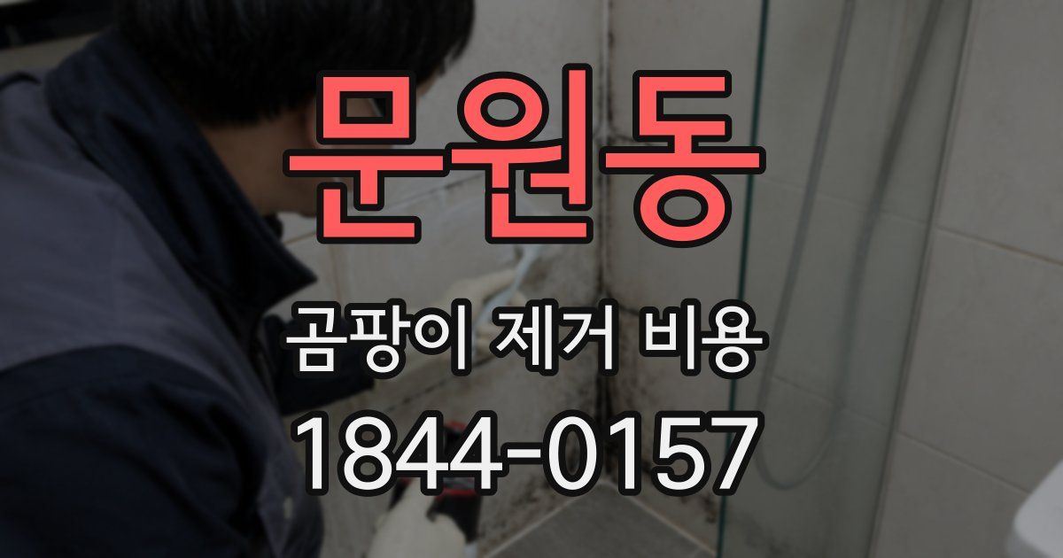 문원동 곰팡이 제거 비용
