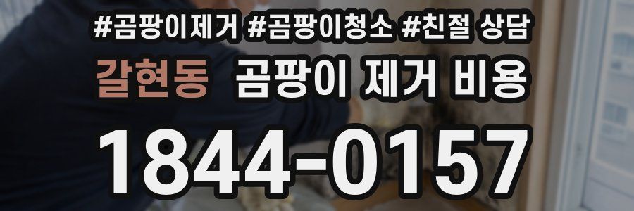 갈현동 곰팡이 제거 비용