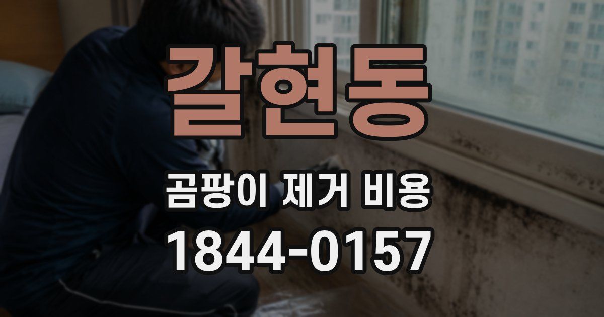 갈현동 곰팡이 제거 비용