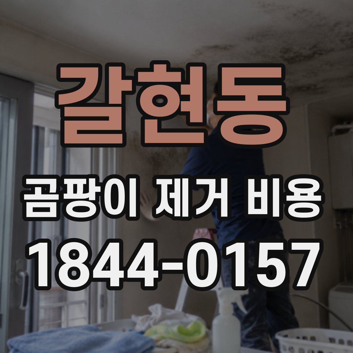 갈현동 곰팡이 제거 비용