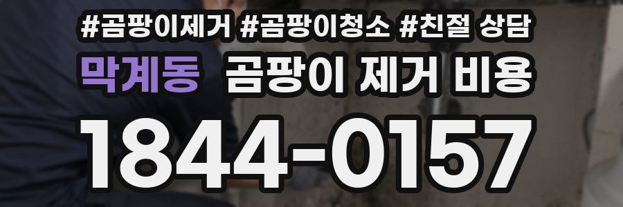 막계동 곰팡이 제거 비용
