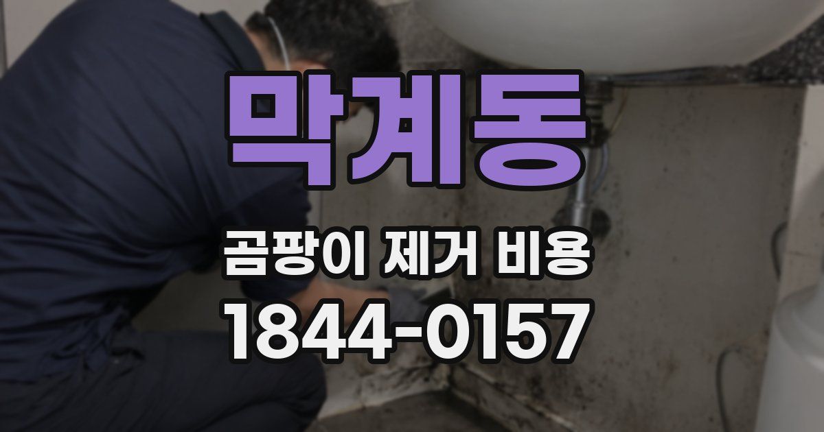 막계동 곰팡이 제거 비용