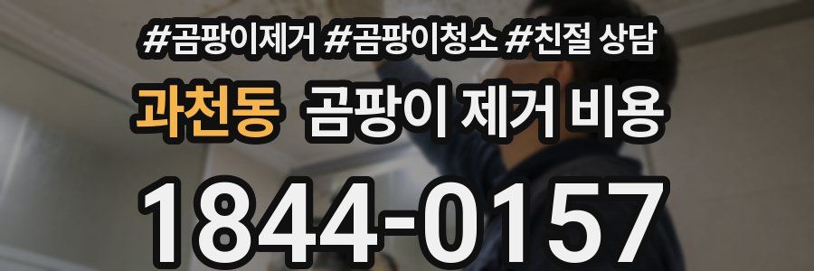 과천동 곰팡이 제거 비용