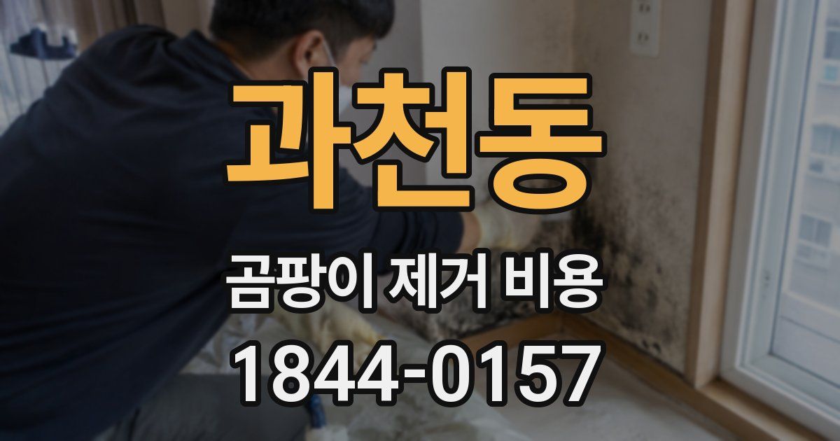 과천동 곰팡이 제거 비용