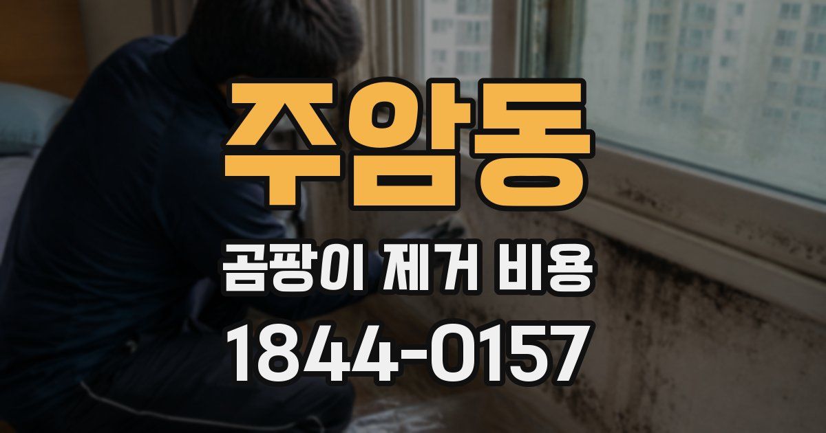 주암동 곰팡이 제거 비용