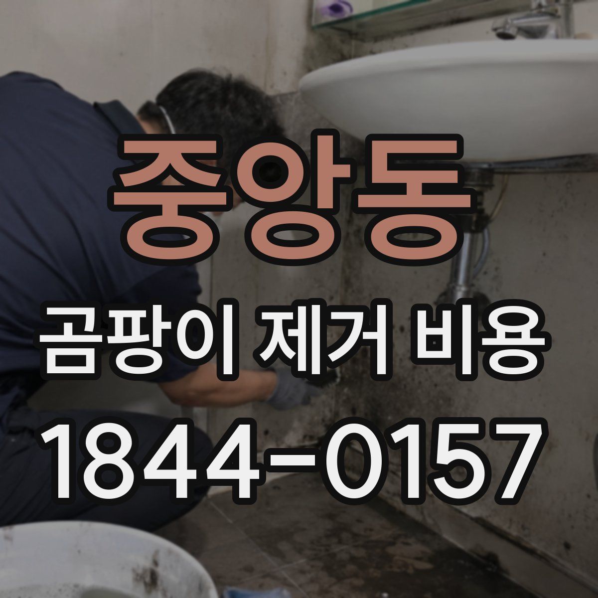 중앙동 곰팡이 제거 비용