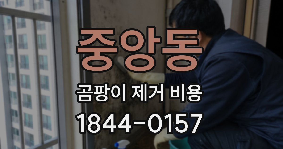 중앙동 곰팡이 제거 비용