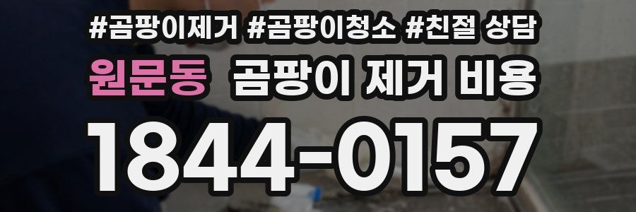 원문동 곰팡이 제거 비용