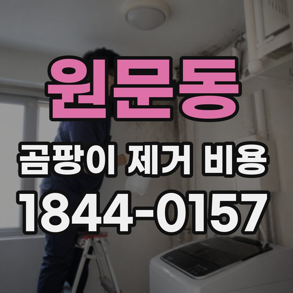 원문동 곰팡이 제거 비용