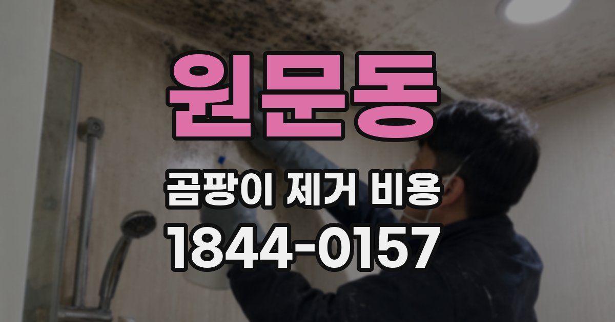 원문동 곰팡이 제거 비용