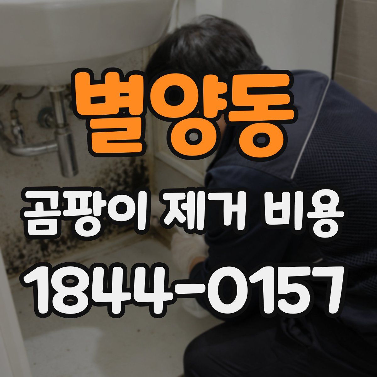 별양동 곰팡이 제거 비용