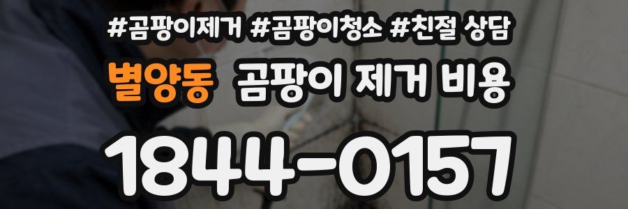 별양동 곰팡이 제거 비용
