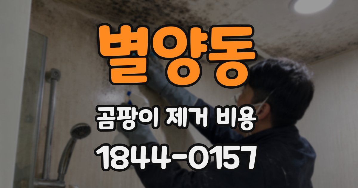 별양동 곰팡이 제거 비용