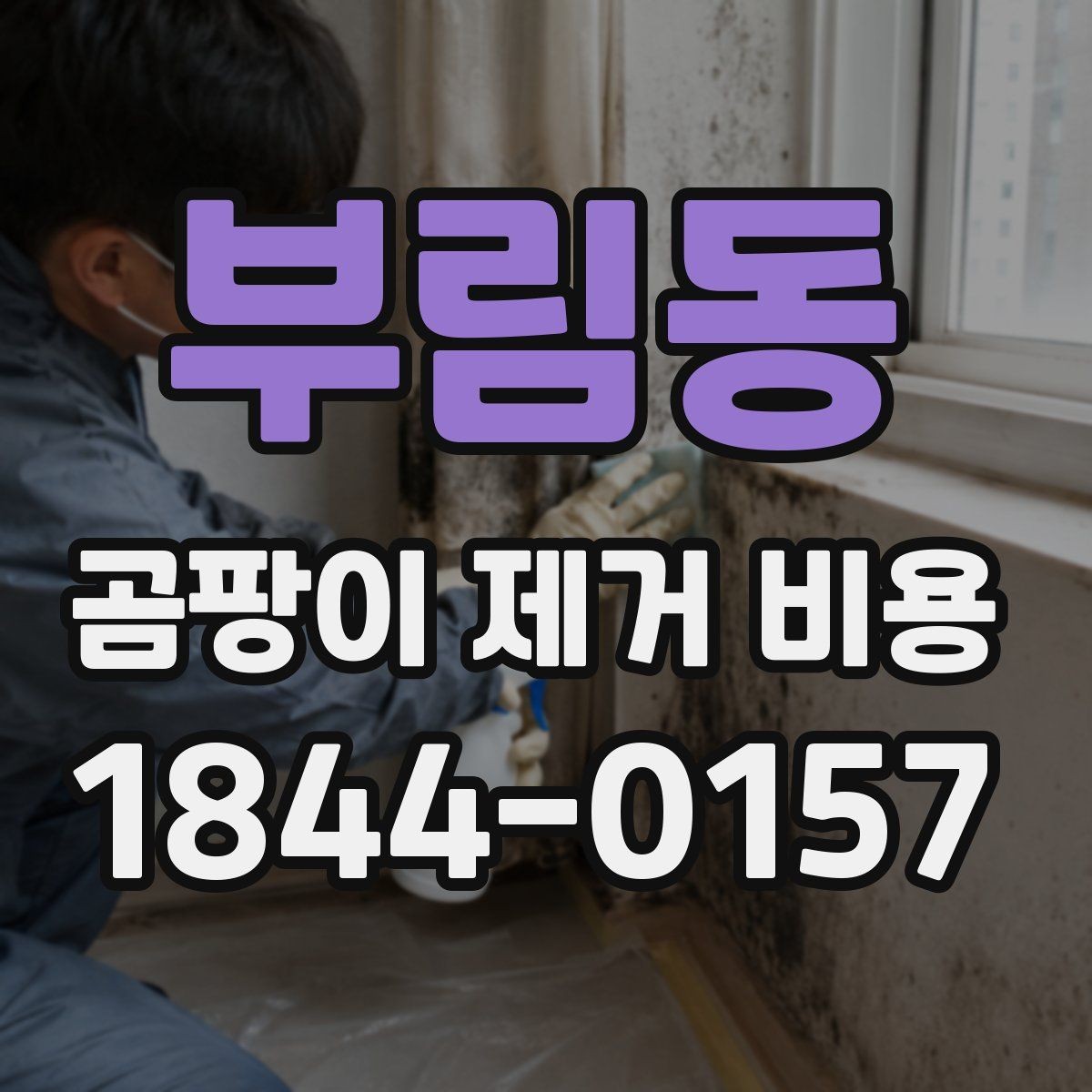 부림동 곰팡이 제거 비용 평수와 오염도에 따라 달라지는 기준
