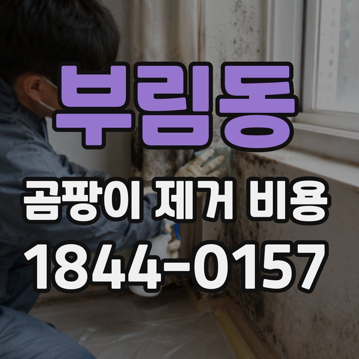 부림동 곰팡이 제거 비용