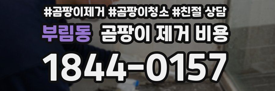 부림동 곰팡이 제거 비용