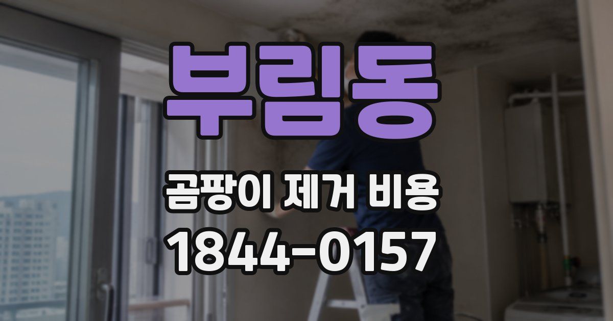 부림동 곰팡이 제거 비용