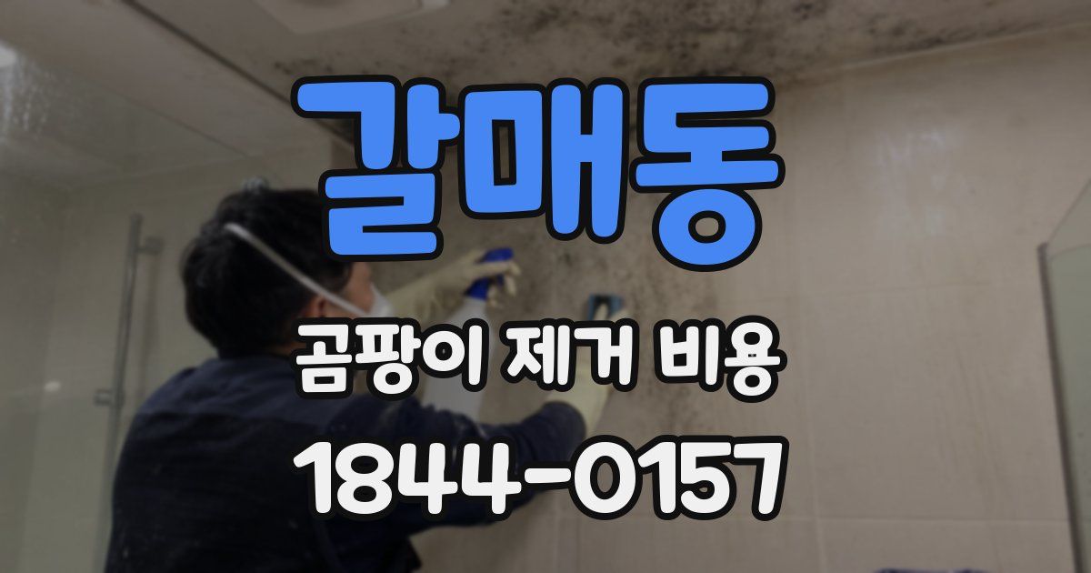갈매동 곰팡이 제거 비용