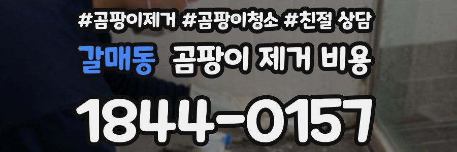 갈매동 곰팡이 제거 비용