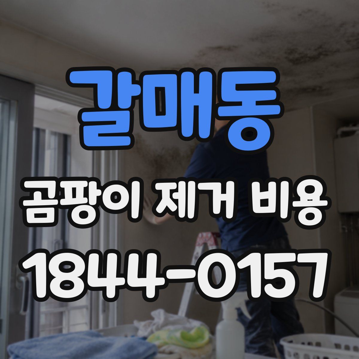 갈매동 곰팡이 제거 비용
