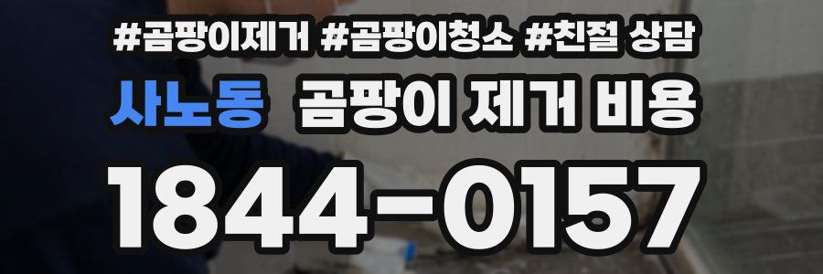 사노동 곰팡이 제거 비용