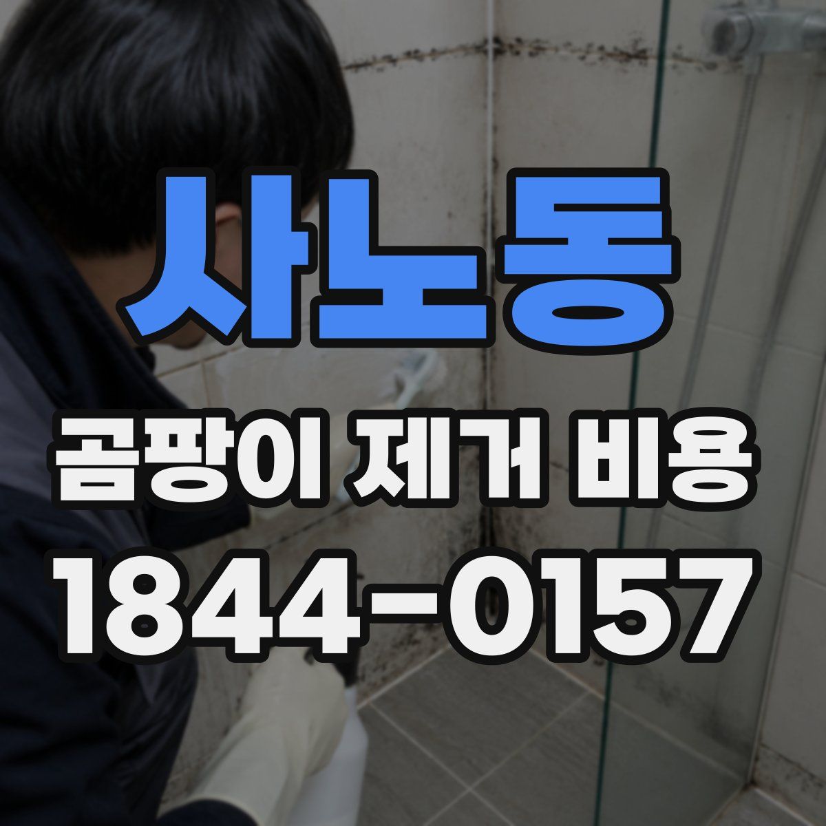 사노동 곰팡이 제거 비용