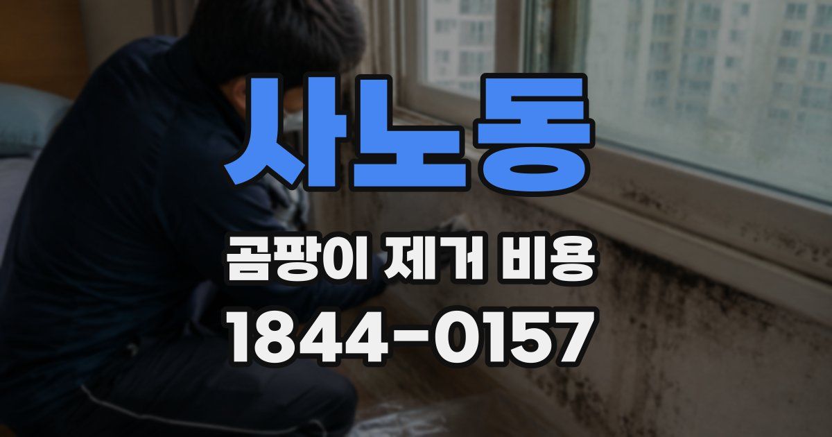 사노동 곰팡이 제거 비용