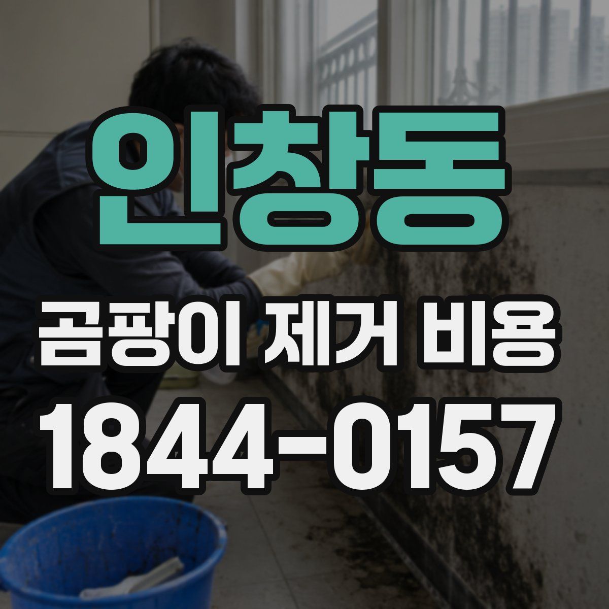 인창동 곰팡이 제거 비용