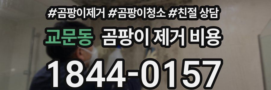 교문동 곰팡이 제거 비용
