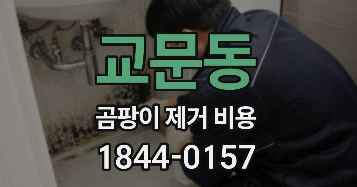 교문동 곰팡이 제거 비용